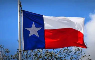Texas Flag